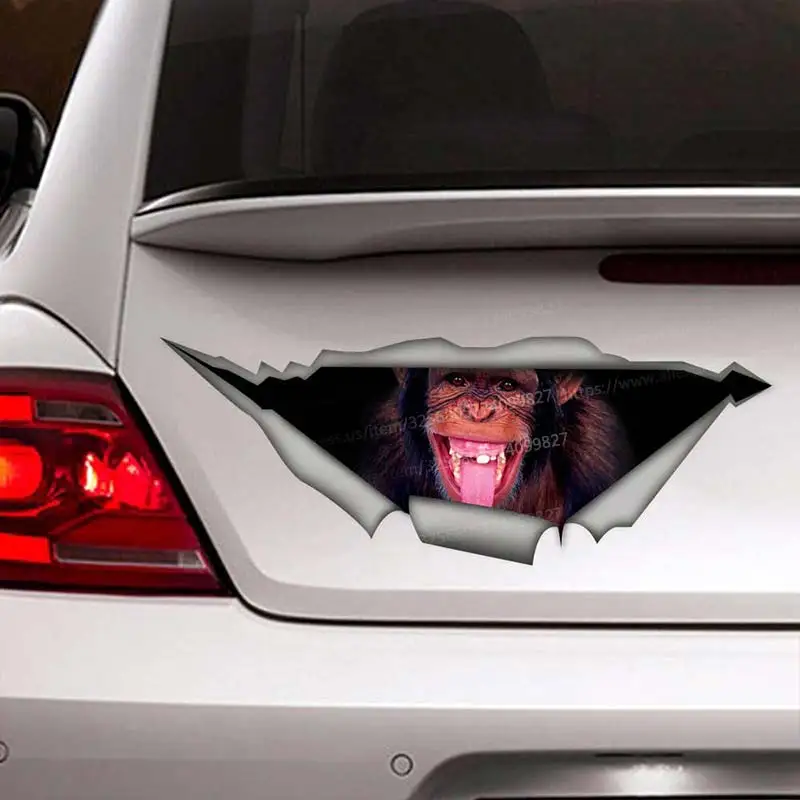Monkey Animal Car Sticker Waterproof Vinyl Decal on Bumper Rear Window Laptop Self-adhesive Decal For Car Accessories SH265
Monkey Animal Car Sticker Waterproof Vinyl Decal on Bumper Rear Window Laptop Self-adhesive Decal For Car Accessories SH265