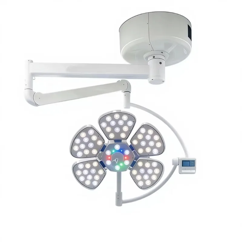 Adjustable Double Dome Shadowless LED Surgical Light Metal LCD Control Panel Electric Operation Source
Adjustable Double Dome Shadowless LED Surgical Light Metal LCD Control Panel Electric Operation Source