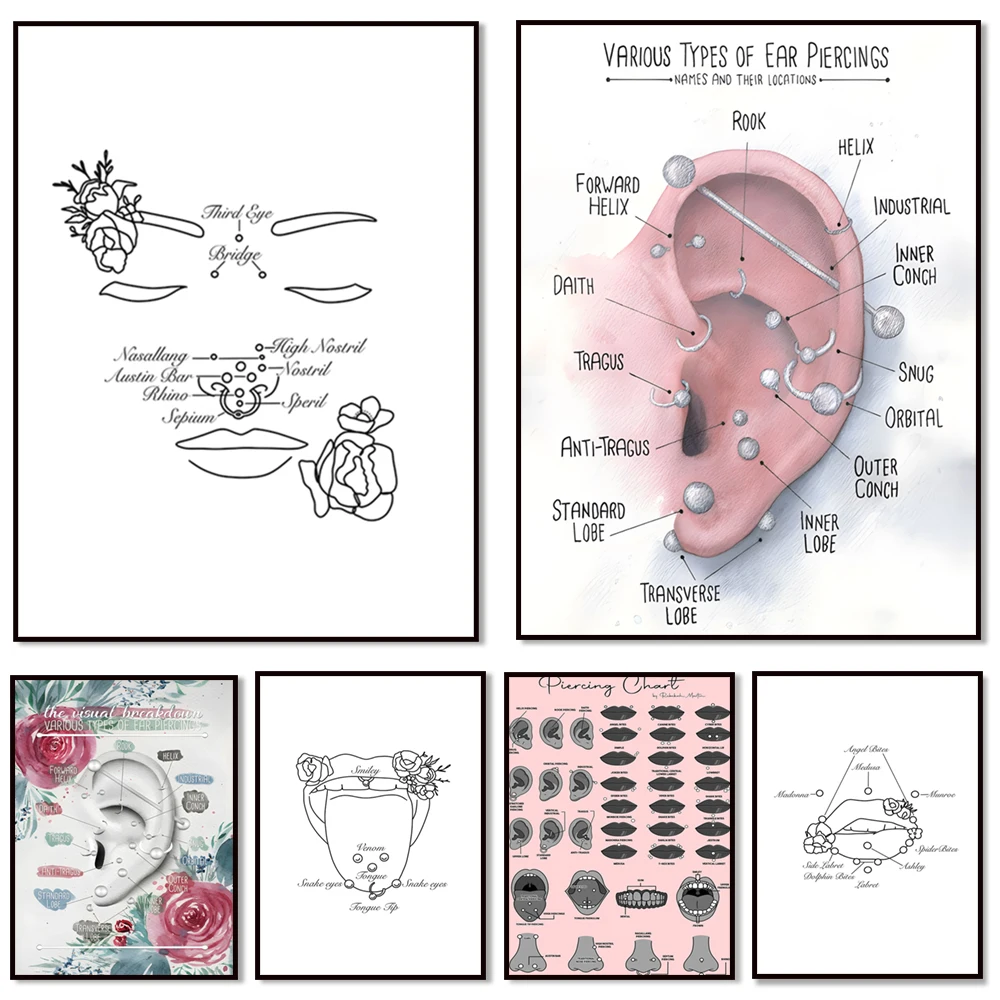 Various types of facial piercings, lip, tongue, nose piercings, ear piercings posters, infographics, piercing studio decoration,
Various types of facial piercings, lip, tongue, nose piercings, ear piercings posters, infographics, piercing studio decoration,
