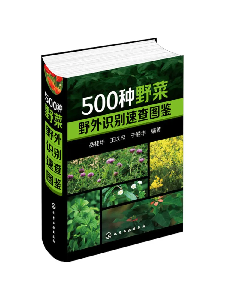 Winshare 500 видов диких овощей, быстрый эталон для книг с идентификацией дикой природы
Winshare 500 видов диких овощей, быстрый эталон для книг с идентификацией дикой природы