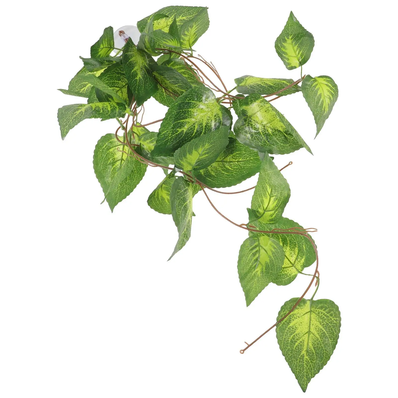 Imitation Plants for Reptiles Plastic Decor Bearded Dragon Cage Accessories Lifelike nament Safe Material Pet Supplies Aquarium
Imitation Plants for Reptiles Plastic Decor Bearded Dragon Cage Accessories Lifelike nament Safe Material Pet Supplies Aquarium