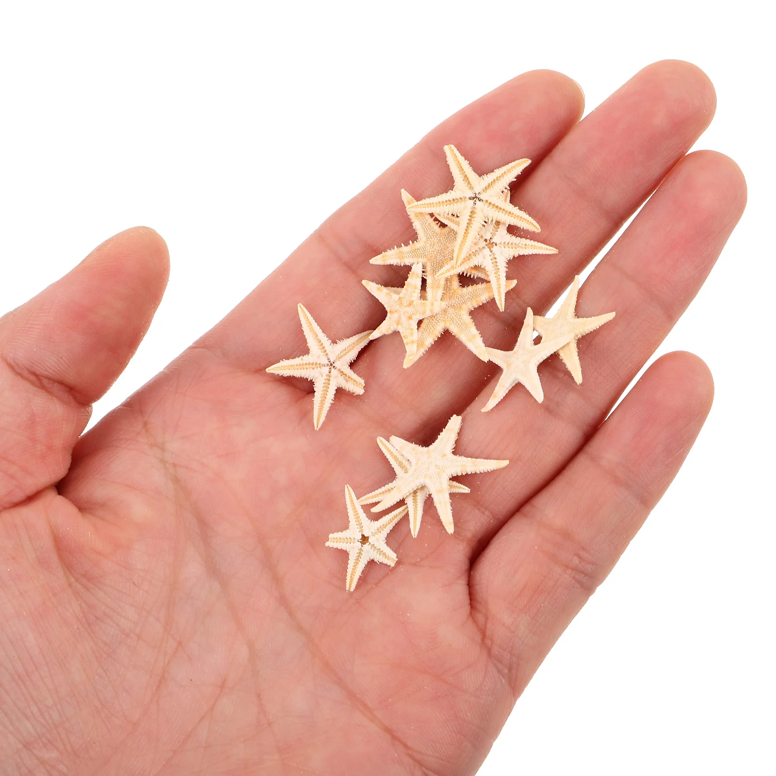 20 Pcs Mini Sea Drip Decorations for Making Epoxy Crafts Beach Theme Natural nament Ocean Wedding Party
20 Pcs Mini Sea Drip Decorations for Making Epoxy Crafts Beach Theme Natural nament Ocean Wedding Party