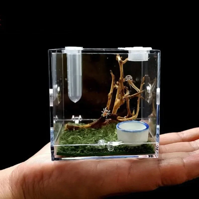 Small Reptiles Breeding Box Clear Acrylic Cage Habitat Insect Feeding Box Terrarium Tank Escape Proof For Jumping Spider
Small Reptiles Breeding Box Clear Acrylic Cage Habitat Insect Feeding Box Terrarium Tank Escape Proof For Jumping Spider