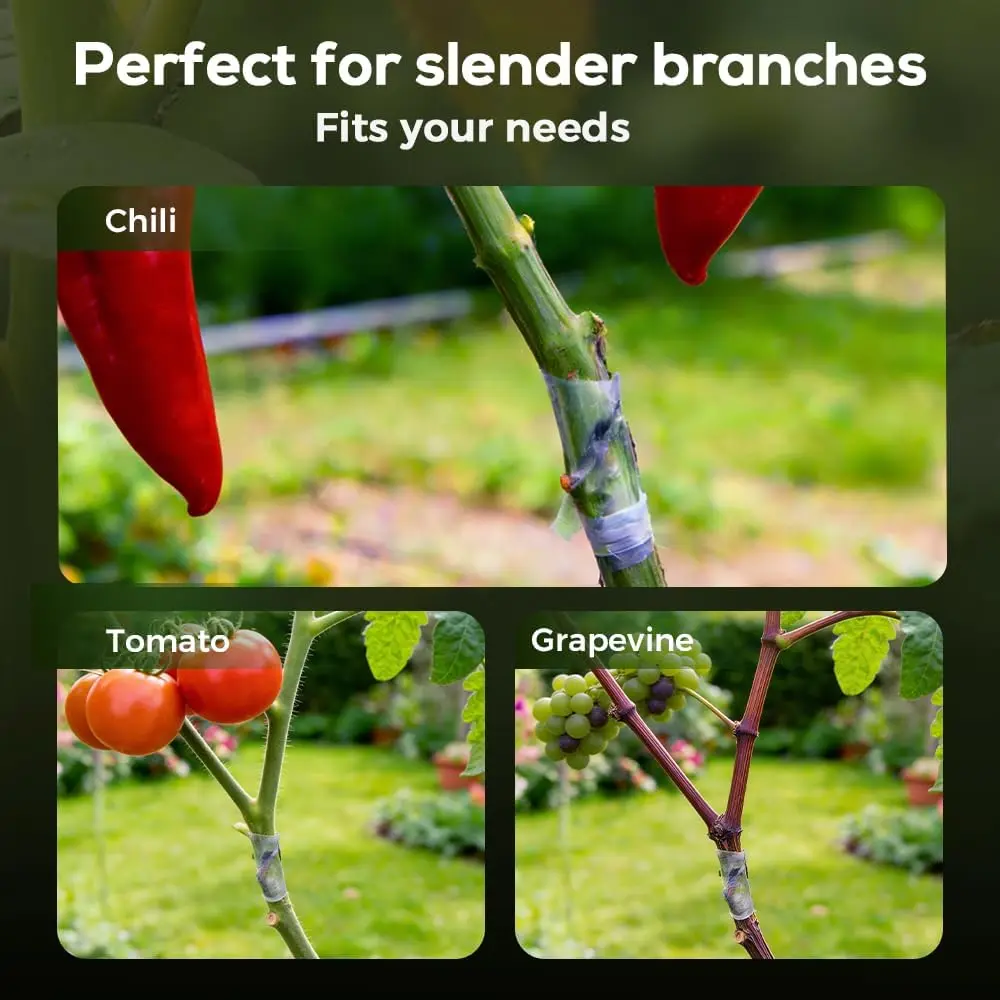 Silicone Resin Grafting Tube Humid Fruit Tree Grafting Casing Grafting Device Flexible For Gardening
Silicone Resin Grafting Tube Humid Fruit Tree Grafting Casing Grafting Device Flexible For Gardening