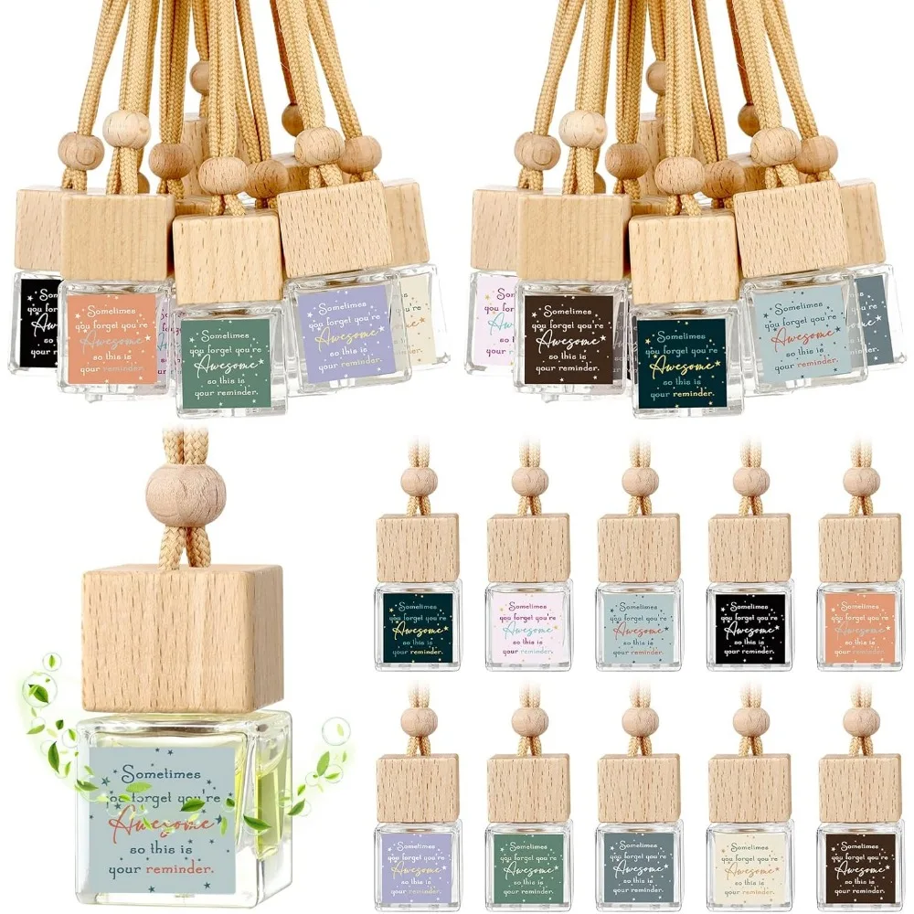 30 Bulk Inspirational Car Diffuser Air Freshener Gift Set for Coworkers Nurses Teachers
30 Bulk Inspirational Car Diffuser Air Freshener Gift Set for Coworkers Nurses Teachers