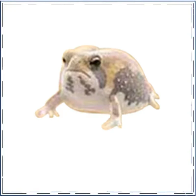 Gashapon Flocking Breviceps Adspersus Kawaii Collection Ornament Action Figure Model Toys
Gashapon Flocking Breviceps Adspersus Kawaii Collection Ornament Action Figure Model Toys