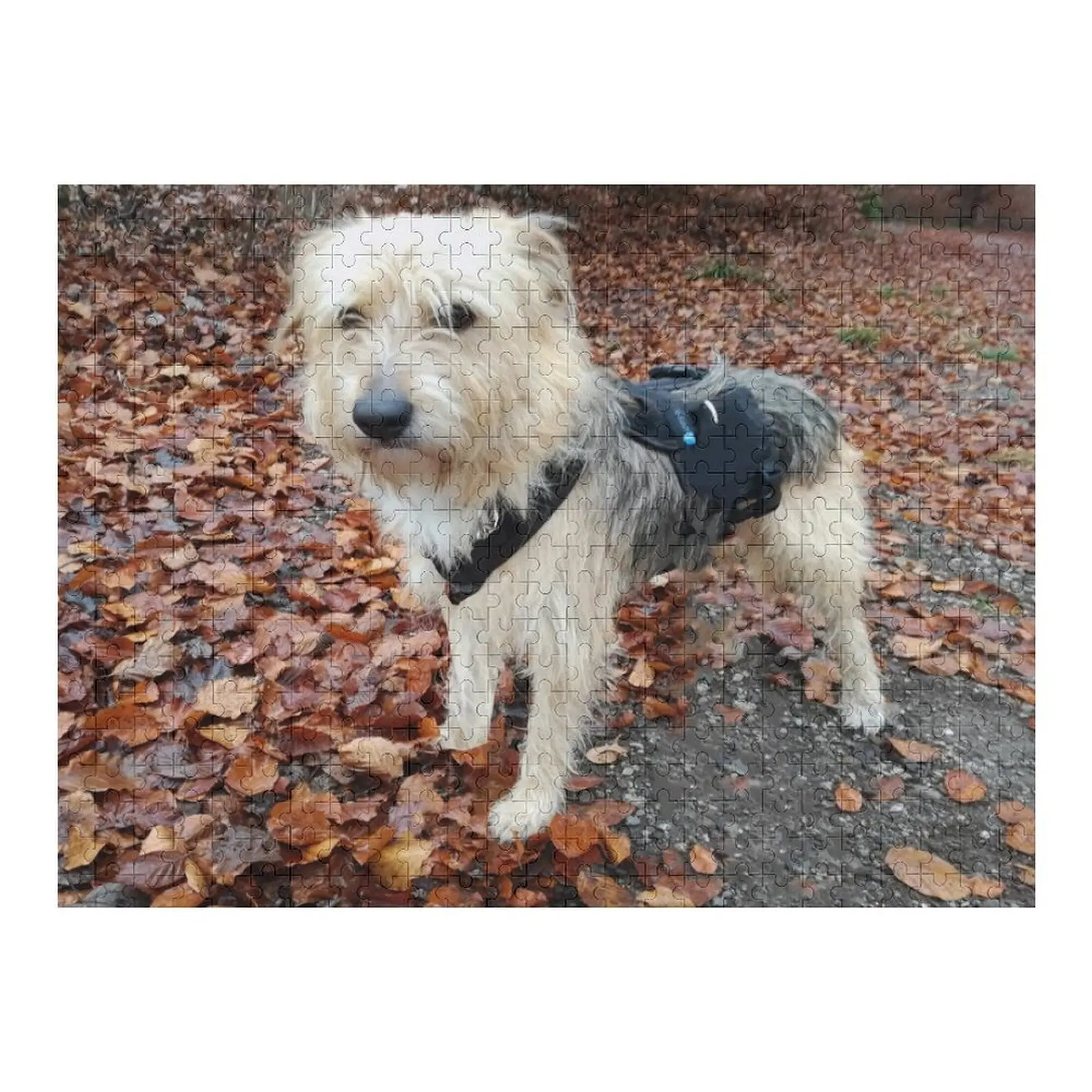 Remy Woods 1 Jigsaw Puzzle Custom Child For Children Puzzle
Remy Woods 1 Jigsaw Puzzle Custom Child For Children Puzzle