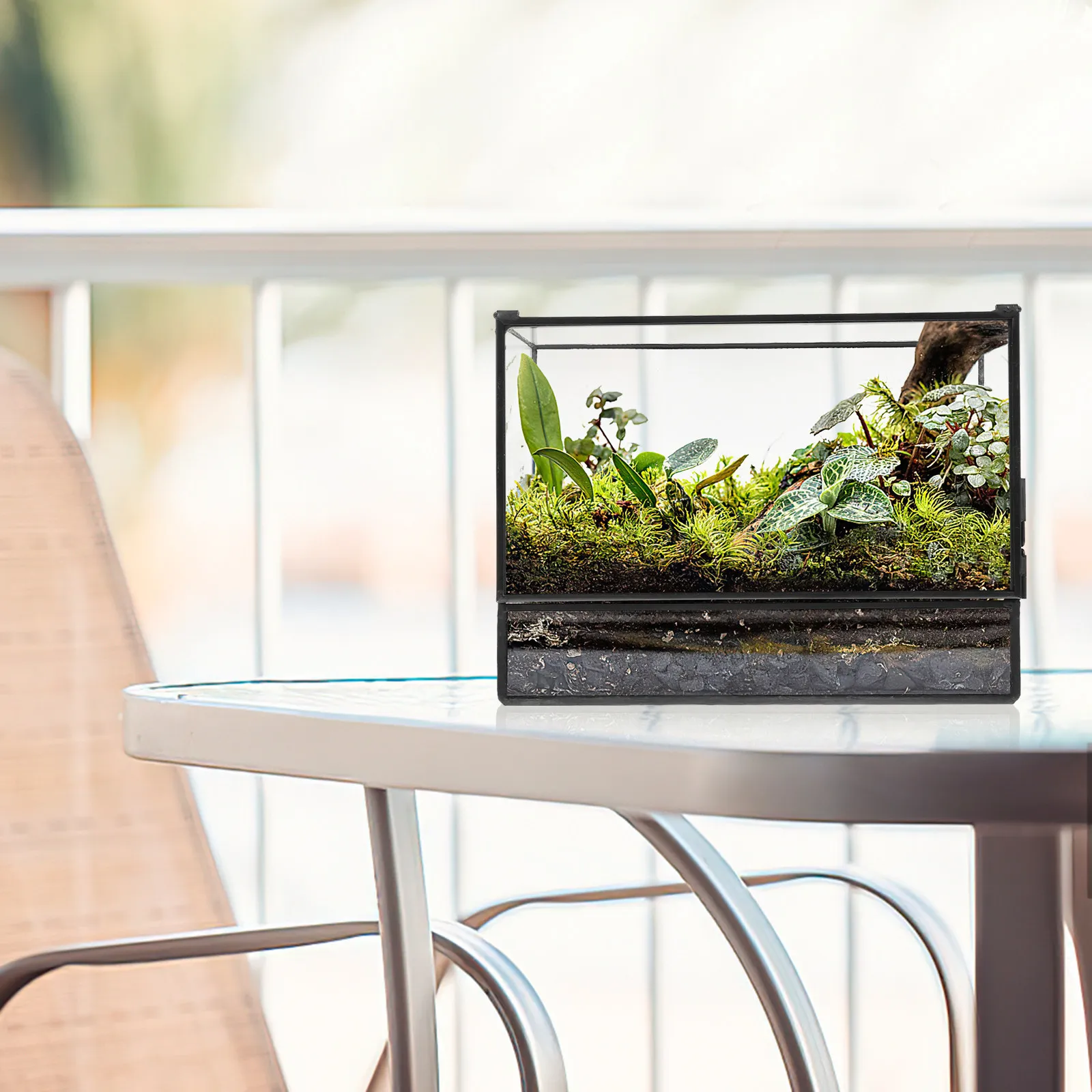 Micro Landscape Glass Terrarium Ecological Box Small Plants Holder Desktop Moss Terrarium Container for DIY Decoration
Micro Landscape Glass Terrarium Ecological Box Small Plants Holder Desktop Moss Terrarium Container for DIY Decoration