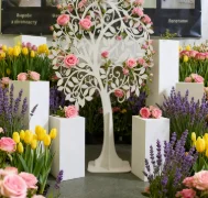 4 шт./компл.) квадратный плексиглас прозрачный акрил/белый психический золотой серебряный плинтус прозрачное акриловое зеркало пьедестал колонна плинтус подставка qq213
4 шт./компл.) квадратный плексиглас прозрачный акрил/белый психический золотой серебряный плинтус прозрачное акриловое зеркало пьедестал колонна плинтус подставка qq213