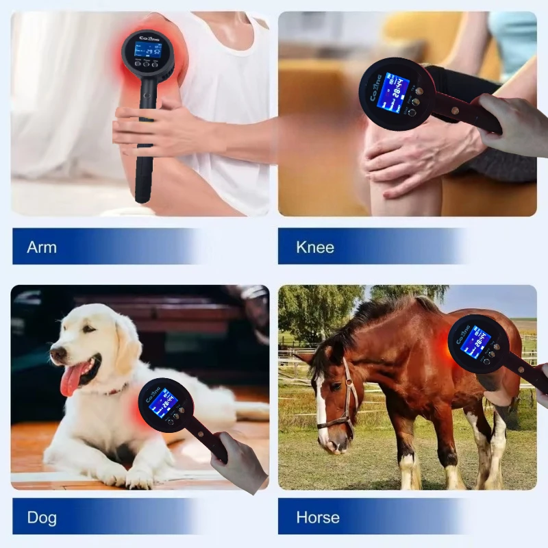 1250mW Deep Tissue Laser Therapy for Diabetic Neuropathy Bulging Anti-inflammation A Grades Adiustable (25% 150%/ 75%/100%)
1250mW Deep Tissue Laser Therapy for Diabetic Neuropathy Bulging Anti-inflammation A Grades Adiustable (25% 150%/ 75%/100%)
