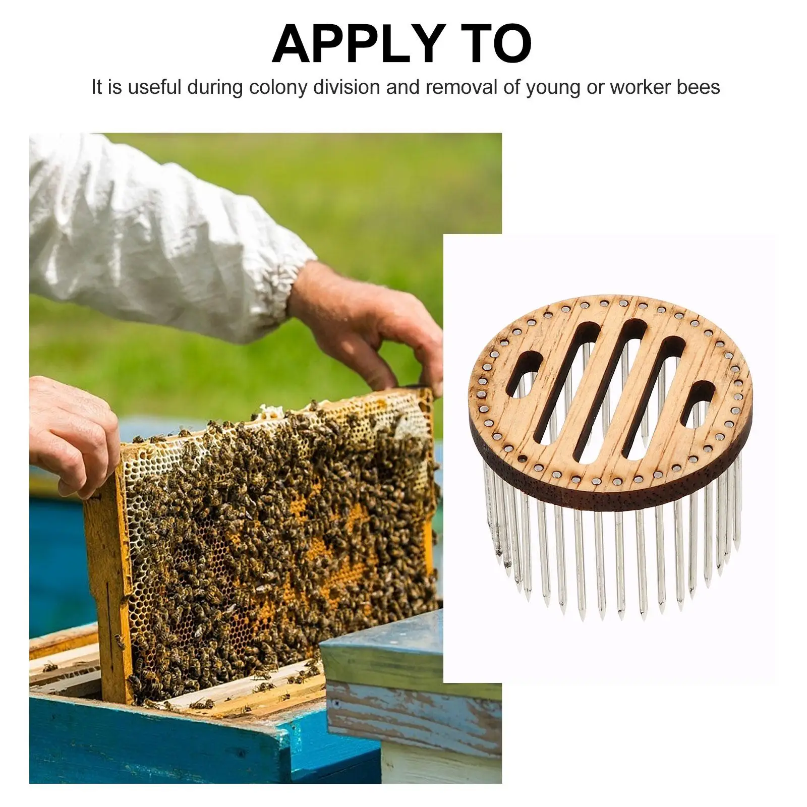 2 Pcs Beekeeping Queen Rearing Equipment Cage Catcher Stainless Steel Tool Needle
2 Pcs Beekeeping Queen Rearing Equipment Cage Catcher Stainless Steel Tool Needle