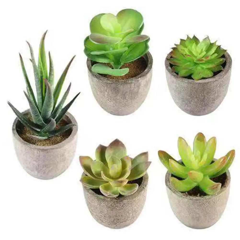 3 Pcs Bonsai Eco Friendly Simulated Succulent Plants Imitated Plant Bonsai Home Office Decor Lightweight Portable Gifts
3 Pcs Bonsai Eco Friendly Simulated Succulent Plants Imitated Plant Bonsai Home Office Decor Lightweight Portable Gifts