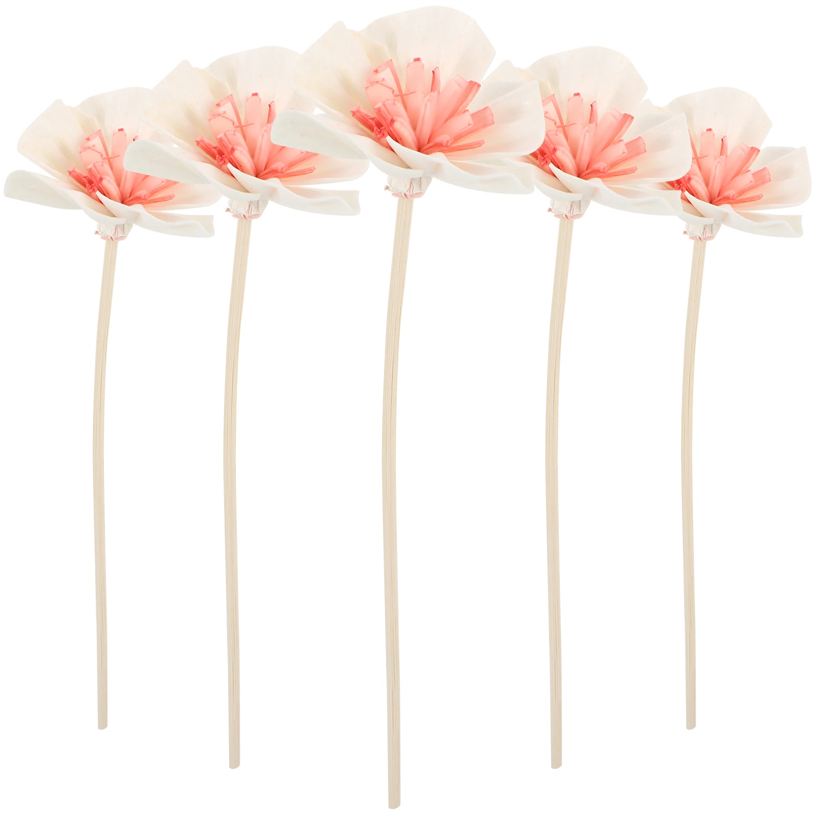 5pcs Artificial Flower Vase Arrangement Diffuser Sticks Essential Oil Dried Flowers Home Scented Decor
5pcs Artificial Flower Vase Arrangement Diffuser Sticks Essential Oil Dried Flowers Home Scented Decor