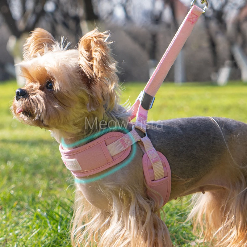Summer Comfortable No Choke Dog Harness and Leash Set Adjustable No Pull Soft Padded Pet Vest for Small Dogs Accessoires Chien
Summer Comfortable No Choke Dog Harness and Leash Set Adjustable No Pull Soft Padded Pet Vest for Small Dogs Accessoires Chien