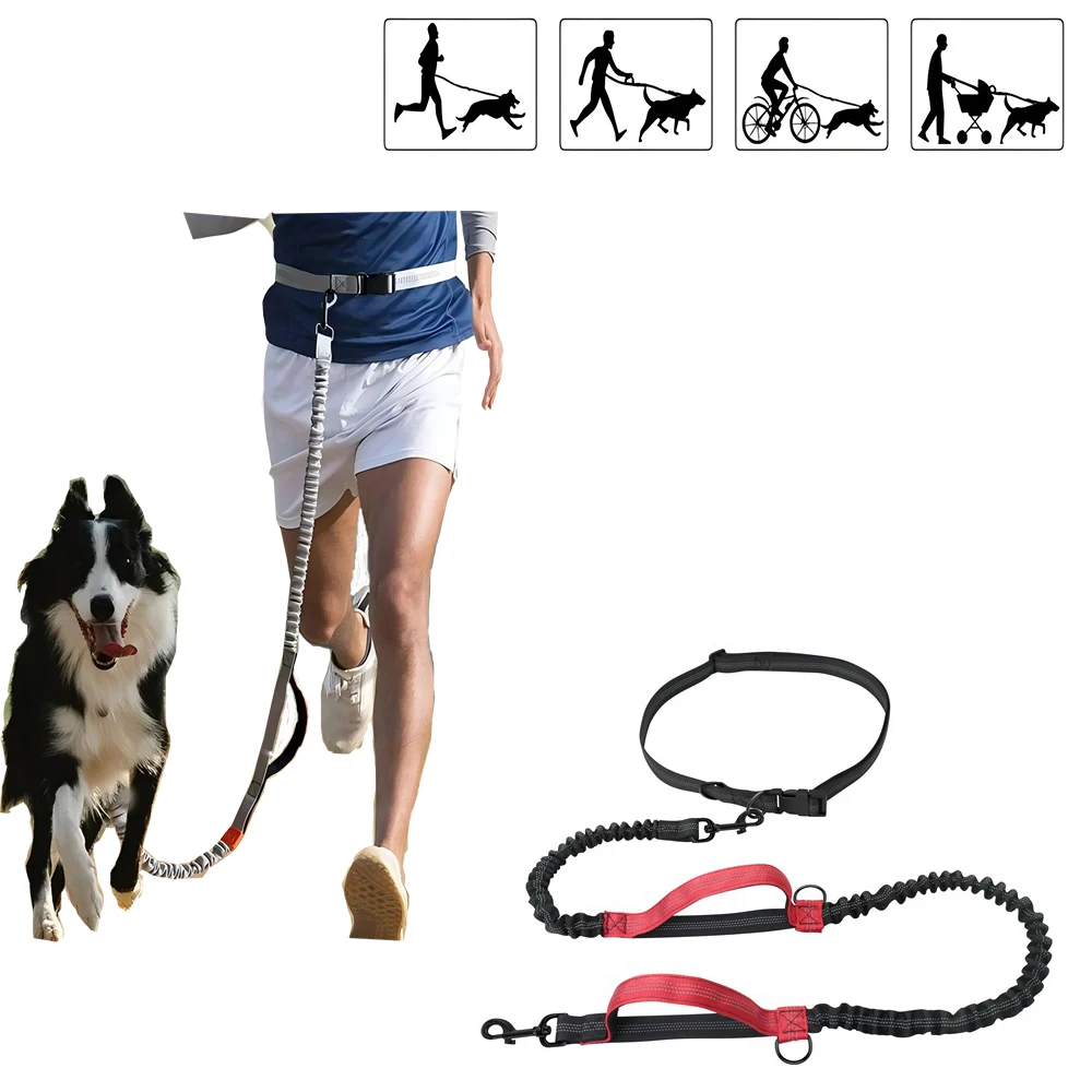 Pet Retractable Belt Leash For Running Reflective Retractable Hand Free Dog Leash with Adjustable Waist Rope For Outdoor Running
Pet Retractable Belt Leash For Running Reflective Retractable Hand Free Dog Leash with Adjustable Waist Rope For Outdoor Running