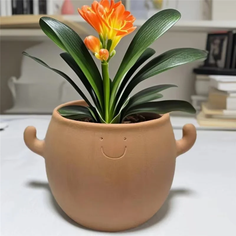 ABPR-Decorative Plant Pots Home Decoration Smiling Face Planter For Garden For Balcony Bonsai Yard Men Desk Workplace
ABPR-Decorative Plant Pots Home Decoration Smiling Face Planter For Garden For Balcony Bonsai Yard Men Desk Workplace
