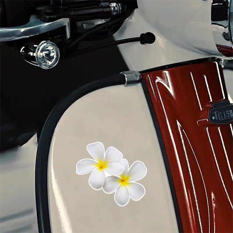 Motorcycle Car Window Bumper Laptop Luggage Water Bottle Plumeria Flower Sticker Waterproof UV-Resistant Vinyl Decal for
Motorcycle Car Window Bumper Laptop Luggage Water Bottle Plumeria Flower Sticker Waterproof UV-Resistant Vinyl Decal for
