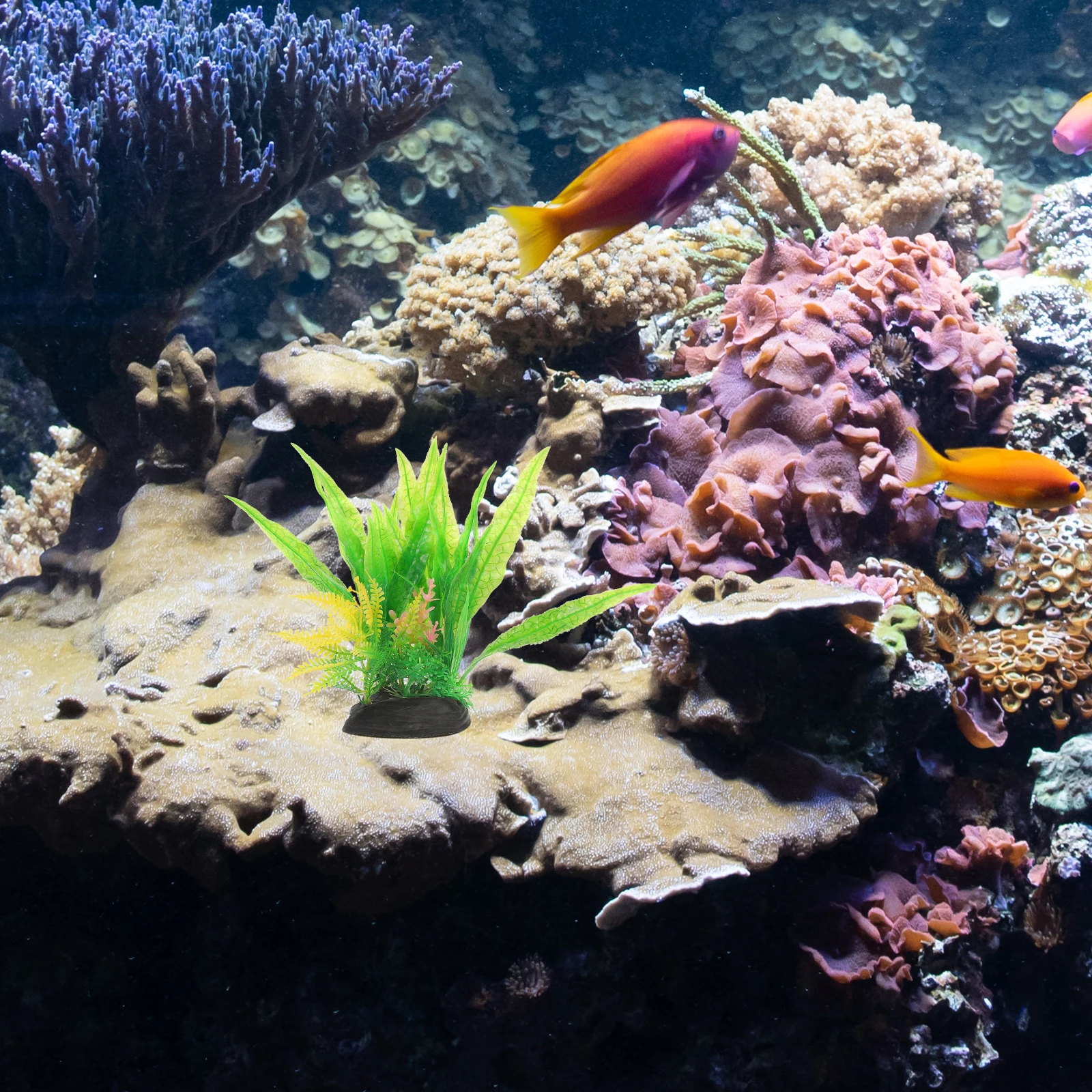 2Pcs Plastic Aquarium Artificial Plants Realistic Fish Tank Decoration Landscaping Accessories Aquarium Plants Realistic
2Pcs Plastic Aquarium Artificial Plants Realistic Fish Tank Decoration Landscaping Accessories Aquarium Plants Realistic