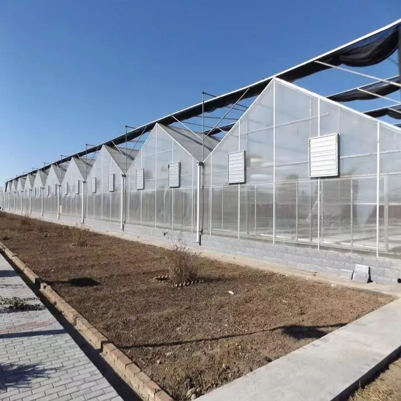 Customized greenhouseDouble-layer Polycarbonate Sheet Greenhouse for Year-Round Vegetable Cultivation
Customized greenhouseDouble-layer Polycarbonate Sheet Greenhouse for Year-Round Vegetable Cultivation