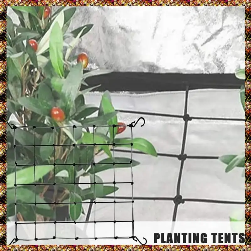 BTCL Garden Trellis Netting Heavy-Duty Garden Plant Support Net Cucumber Trellis Netting Climbing Plants Grow Mesh
BTCL Garden Trellis Netting Heavy-Duty Garden Plant Support Net Cucumber Trellis Netting Climbing Plants Grow Mesh
