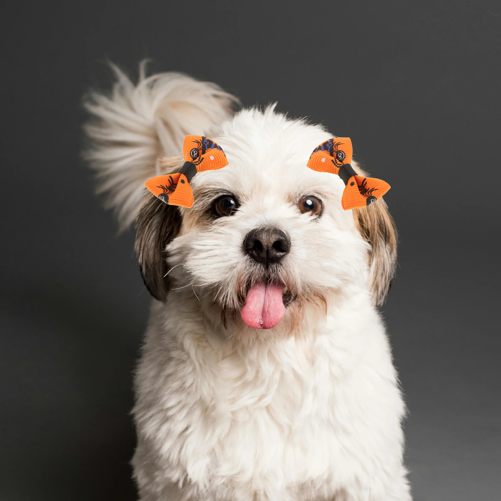 10 Pcs Pet Hair Bows Elastic Lovely Topknot Rope Headwear Halloween Pet Accessories Dog Cat Hair Decoration
10 Pcs Pet Hair Bows Elastic Lovely Topknot Rope Headwear Halloween Pet Accessories Dog Cat Hair Decoration
