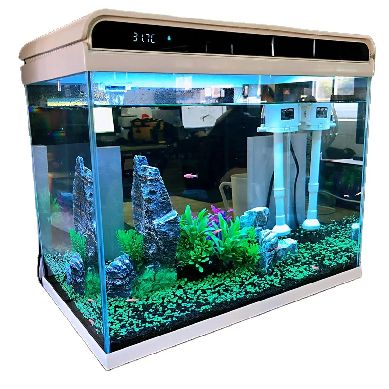 Rectangle Small Acrylic Fish tank Glass Aquarium with Fllter and LED Lighting Jelly Fish Aquarium Fish tank with Digital Screen
Rectangle Small Acrylic Fish tank Glass Aquarium with Fllter and LED Lighting Jelly Fish Aquarium Fish tank with Digital Screen