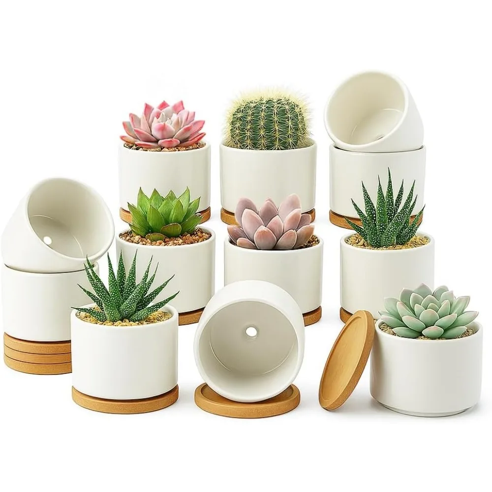 12 Pack 4 Inch Ceramic Succulent Pots with Drainage Hole & Bamboo Tray for Indoor Plants, Home Office Desk
12 Pack 4 Inch Ceramic Succulent Pots with Drainage Hole & Bamboo Tray for Indoor Plants, Home Office Desk