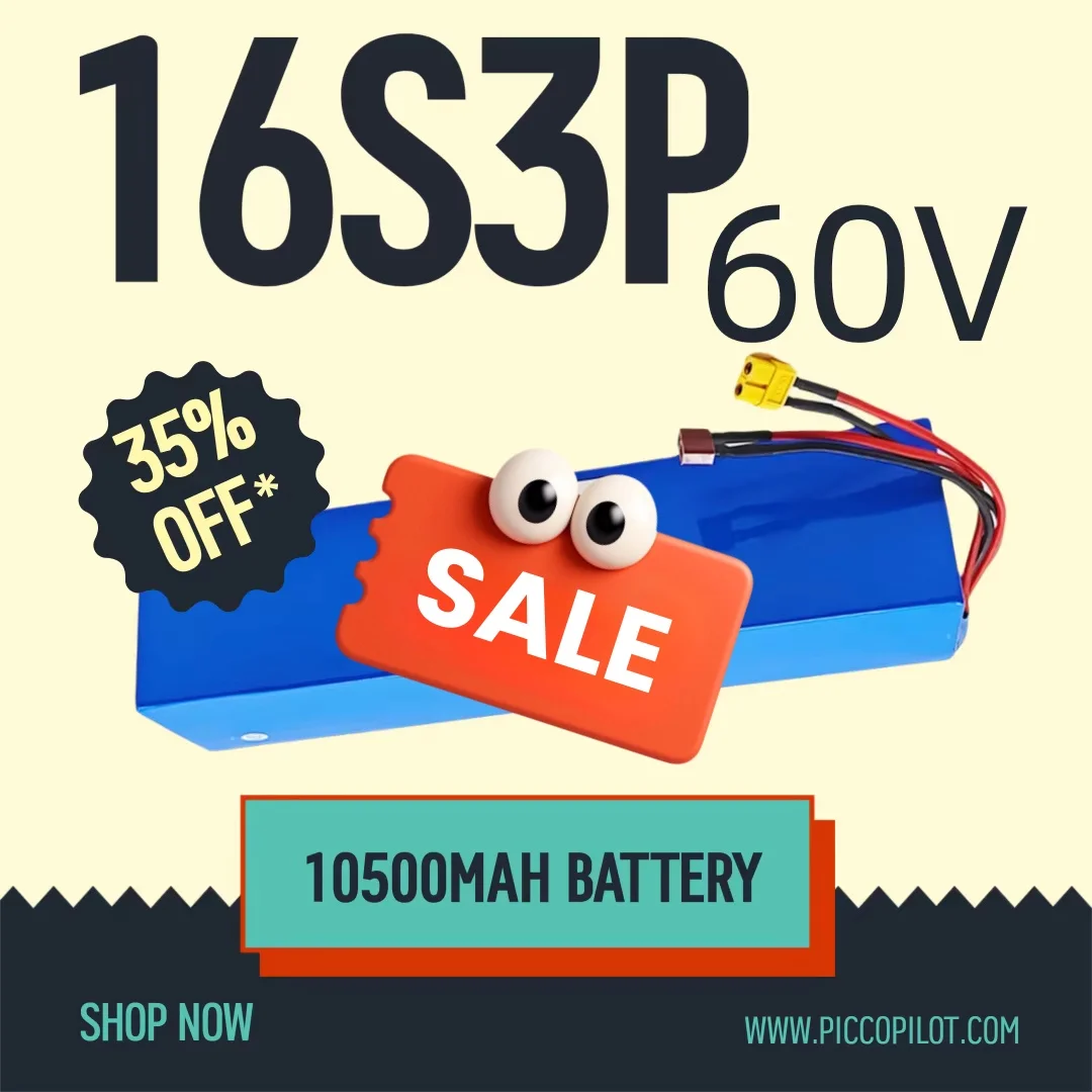 lithium-ion 16S3P battery pack New 60V 10.5Ah battery 10500mah 18650 1500W high-power lithium battery with built-in BMS
lithium-ion 16S3P battery pack New 60V 10.5Ah battery 10500mah 18650 1500W high-power lithium battery with built-in BMS