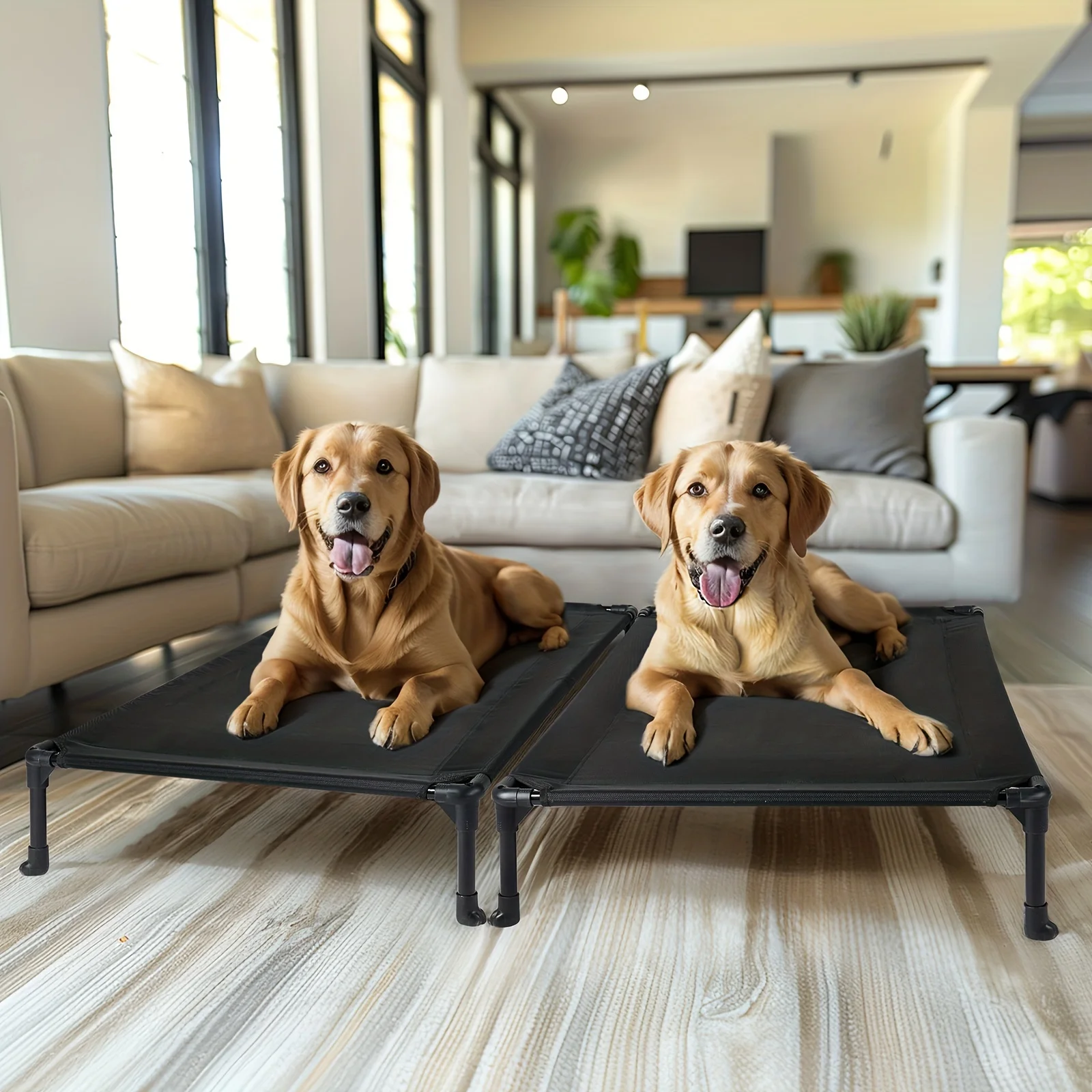 Veehoo 2-Pack Raised Dog Bed, Cooling Elevated Dog Bed, Portable Pet Cot with Washable And Breathable Mesh, No-Slip Feet, Durable Dog Cots Beds for Large Dogs
Veehoo 2-Pack Raised Dog Bed, Cooling Elevated Dog Bed, Portable Pet Cot with Washable And Breathable Mesh, No-Slip Feet, Durable Dog Cots Beds for Large Dogs