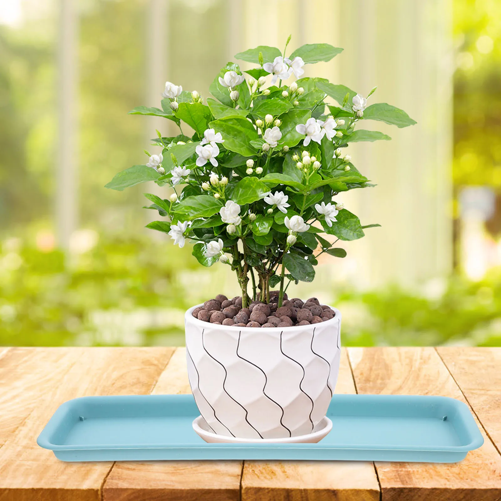 2pcs Plastic Plant Trays Rectangular Flower Pot Drip Trays Waterproof Floor Protection Thickened Durable Indoor Saucers Heavy
2pcs Plastic Plant Trays Rectangular Flower Pot Drip Trays Waterproof Floor Protection Thickened Durable Indoor Saucers Heavy