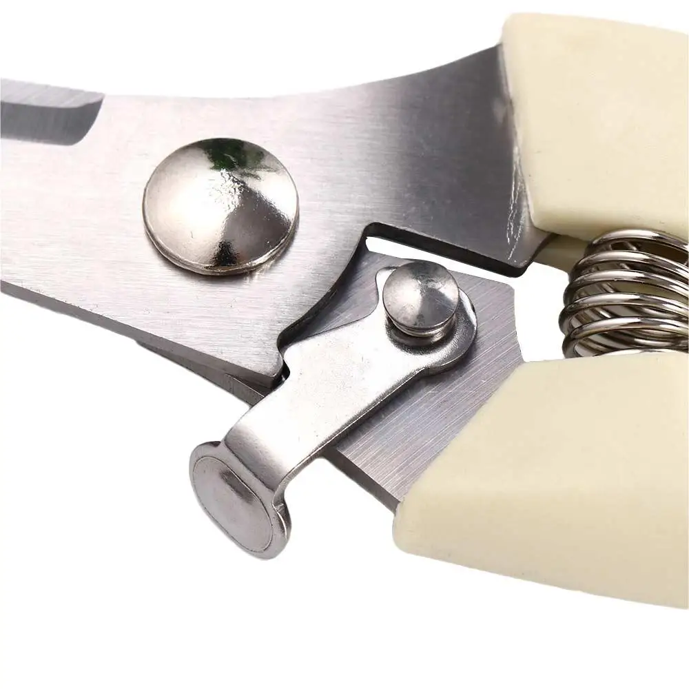 Бежевая качественная прямая/изогнутая головка, полипропиленовая ручка, острая удобная ручка, секаторы, инструмент для прививки, садовые принадлежности, ножницы для ветвей
Бежевая качественная прямая/изогнутая головка, полипропиленовая ручка, острая удобная ручка, секаторы, инструмент для прививки, садовые принадлежности, ножницы для ветвей