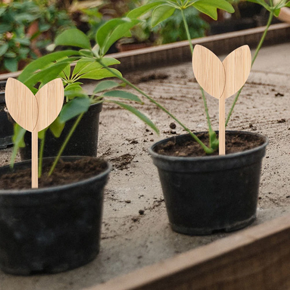 20pcs Wooden Labels Wood Plant Tags Stakes For Garden Nursery Markers Durable Plant Label For Flower Identification Garden
20pcs Wooden Labels Wood Plant Tags Stakes For Garden Nursery Markers Durable Plant Label For Flower Identification Garden
