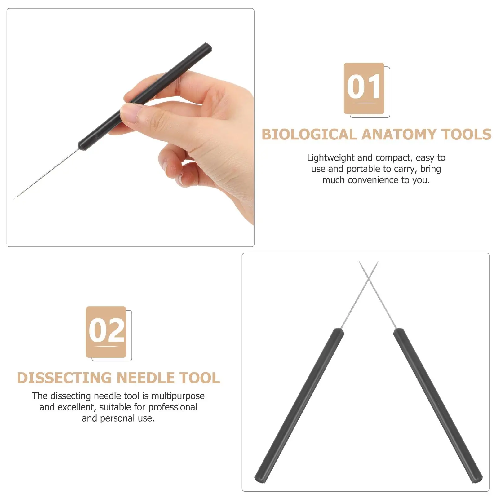 2 Pcs Insect Dissecting Needle Tools Entomology Dissection Butterfly Anatomy School Plastic Specimen
2 Pcs Insect Dissecting Needle Tools Entomology Dissection Butterfly Anatomy School Plastic Specimen