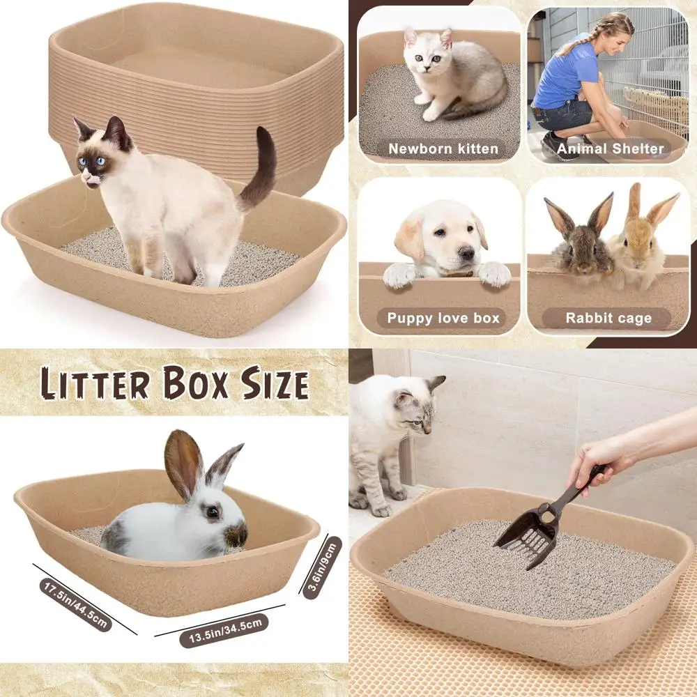 Одноразовый ящик для лотков для кошек и мелких домашних животных — удобный для путешествий, упаковка из 20 штук, 17,5 x 13,5 x 3,6 дюйма, подходит для дома и
Одноразовый ящик для лотков для кошек и мелких домашних животных — удобный для путешествий, упаковка из 20 штук, 17,5 x 13,5 x 3,6 дюйма, подходит для дома и
