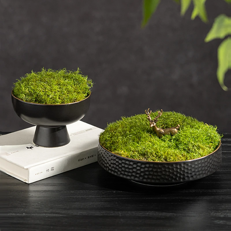 Eternal Moss Bonsai Desktop Simulation Green Plant Soft Decoration Fairy Garden Miniatures Home Decor Bonsai Ceramic Basin
Eternal Moss Bonsai Desktop Simulation Green Plant Soft Decoration Fairy Garden Miniatures Home Decor Bonsai Ceramic Basin