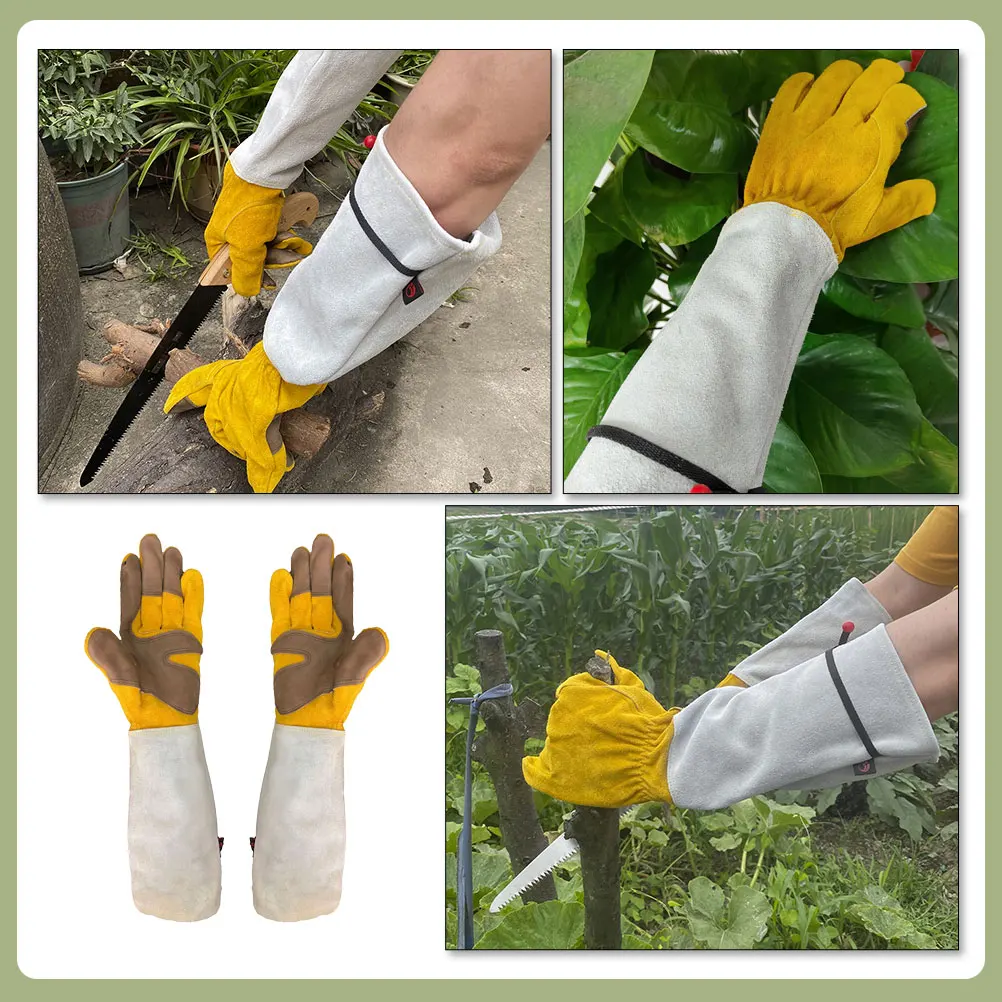 Wear-resistant Garden Gloves Gardening Plants Long Sleeves Cactus Proof Cowhide Man
Wear-resistant Garden Gloves Gardening Plants Long Sleeves Cactus Proof Cowhide Man