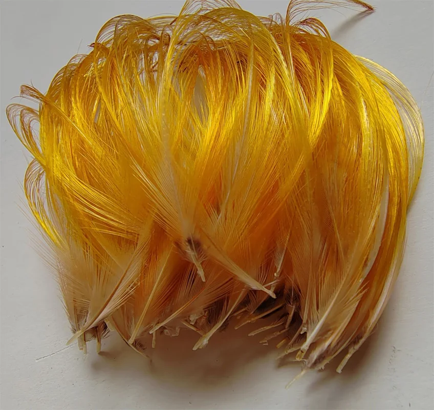 100Pieces 5-7cm long Natural Golden Yellow Colour Golden Pheasant Feathers,Real Red Lady Amherst Pheasant Feathers,Very Rare
100Pieces 5-7cm long Natural Golden Yellow Colour Golden Pheasant Feathers,Real Red Lady Amherst Pheasant Feathers,Very Rare