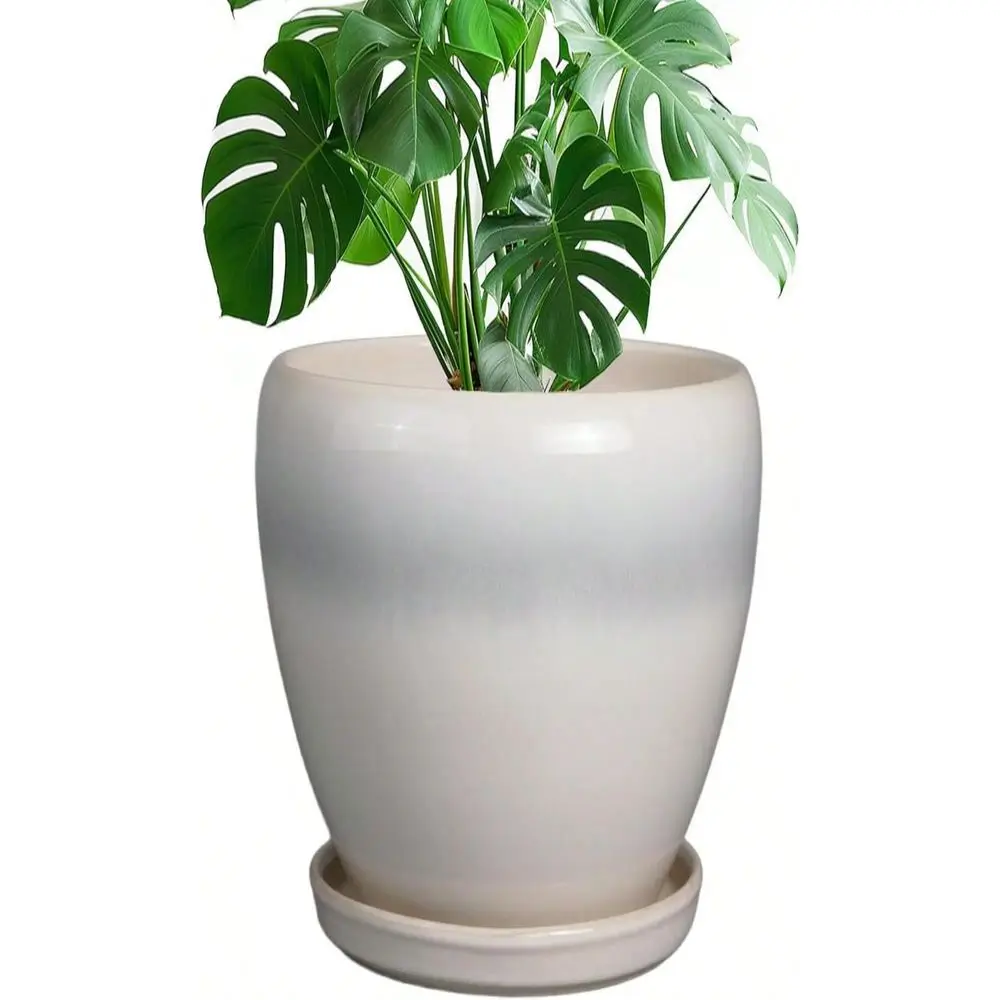 Modern Glaze Succulent Planter Pot With Drainage Hole And Saucer 6 Inch Round Flower Plant Pot For Indoor Outdoor Herb Snake Pl
Modern Glaze Succulent Planter Pot With Drainage Hole And Saucer 6 Inch Round Flower Plant Pot For Indoor Outdoor Herb Snake Pl
