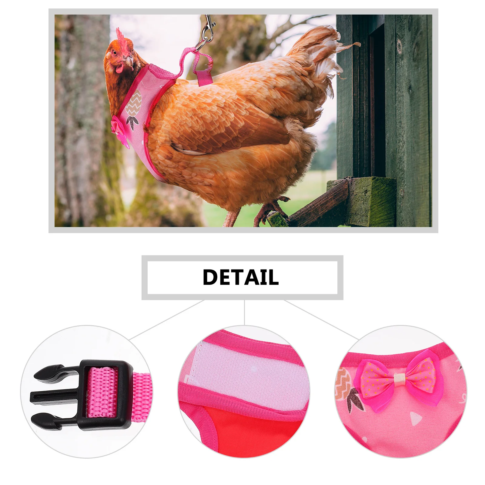 1Set Adjustable Hen Harness Durable Chicken Leash Outdoor Walking Pet Rooster Vest Chest Strap Traction Rope Hen Leash
1Set Adjustable Hen Harness Durable Chicken Leash Outdoor Walking Pet Rooster Vest Chest Strap Traction Rope Hen Leash