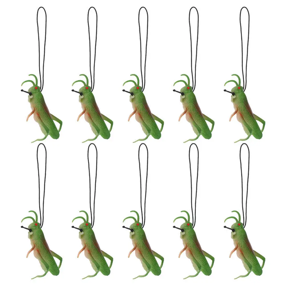 20Pcs Realistic Grasshopper Simulation Soft Plastic Insect Figures for Educational Bug Collectibles Party Favors
20Pcs Realistic Grasshopper Simulation Soft Plastic Insect Figures for Educational Bug Collectibles Party Favors