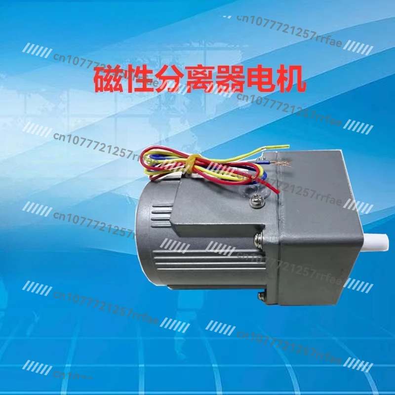 Special Motor for Magnetic Separator of Grinding Machine (380V/220V)
Special Motor for Magnetic Separator of Grinding Machine (380V/220V)
