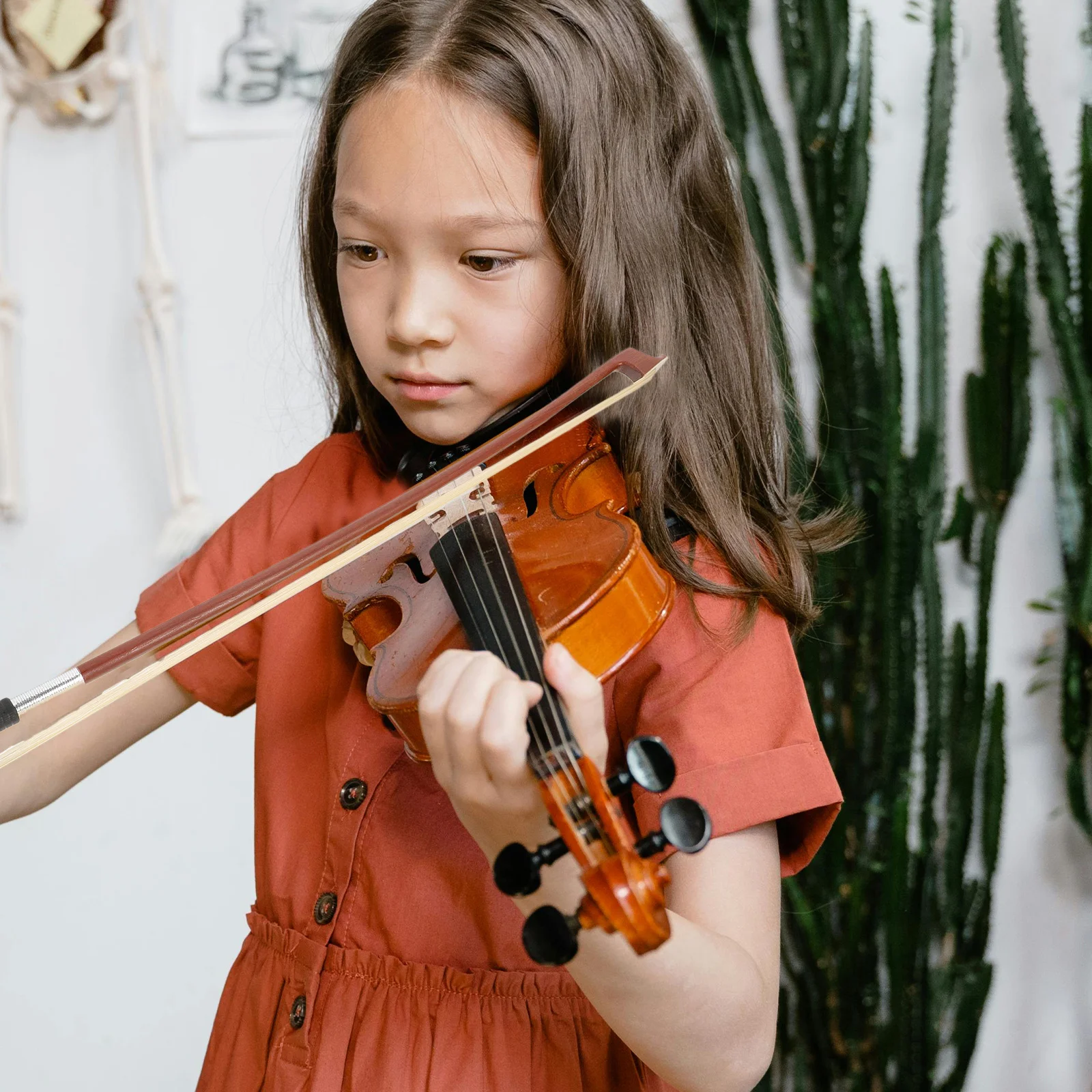 Wooden Violin Bow Replacement Professional Natural Horsetail Hair Well Balanced Useful Violin Instrument Accessory
Wooden Violin Bow Replacement Professional Natural Horsetail Hair Well Balanced Useful Violin Instrument Accessory