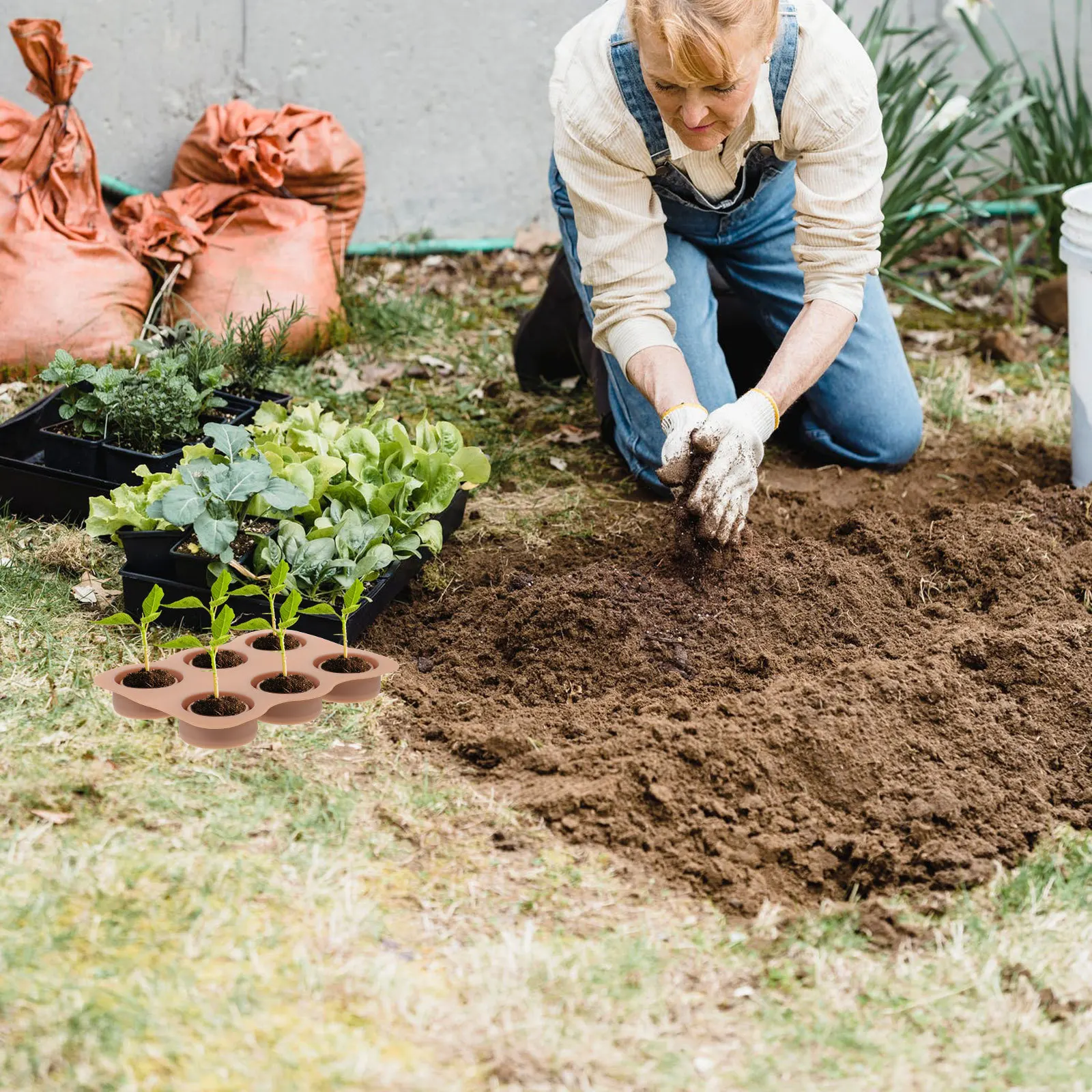 2Pcs Silicone Plant Germination Tray Sturdy Multi-Hole Starter Tray for Indoor Outdoor Gardening Seedling Growing Supplies
2Pcs Silicone Plant Germination Tray Sturdy Multi-Hole Starter Tray for Indoor Outdoor Gardening Seedling Growing Supplies