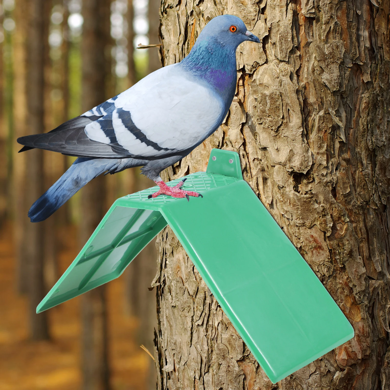 5pcs Iron Perch Plastic Standing Frames for Pigeon Rest Roosts Bird Supplies Durable Quality Pet Skill Development
5pcs Iron Perch Plastic Standing Frames for Pigeon Rest Roosts Bird Supplies Durable Quality Pet Skill Development