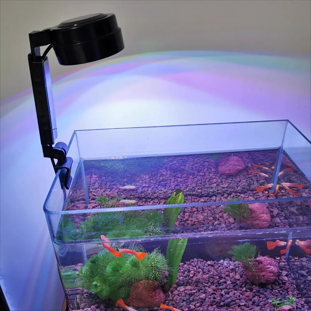 Mini LED Aquarium Light 5W USB Red Blue White Green LED Fish Tank Clip 3 Modes for Nano Tank Aquatic Planted Light
Mini LED Aquarium Light 5W USB Red Blue White Green LED Fish Tank Clip 3 Modes for Nano Tank Aquatic Planted Light