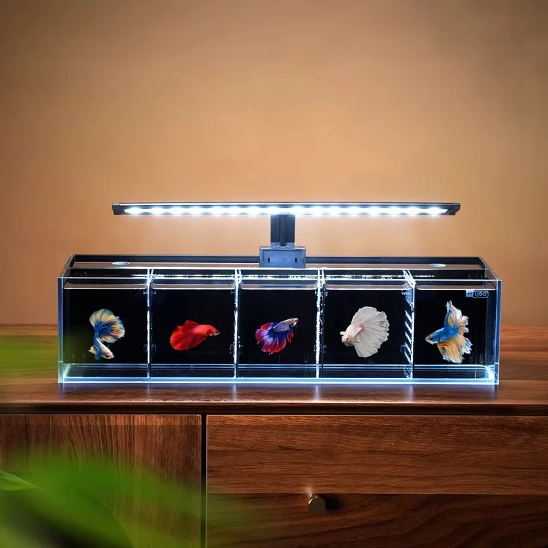 Ultra-white glass betta aquarium isolation small fish tank multi-grid combination filter no water change
Ultra-white glass betta aquarium isolation small fish tank multi-grid combination filter no water change