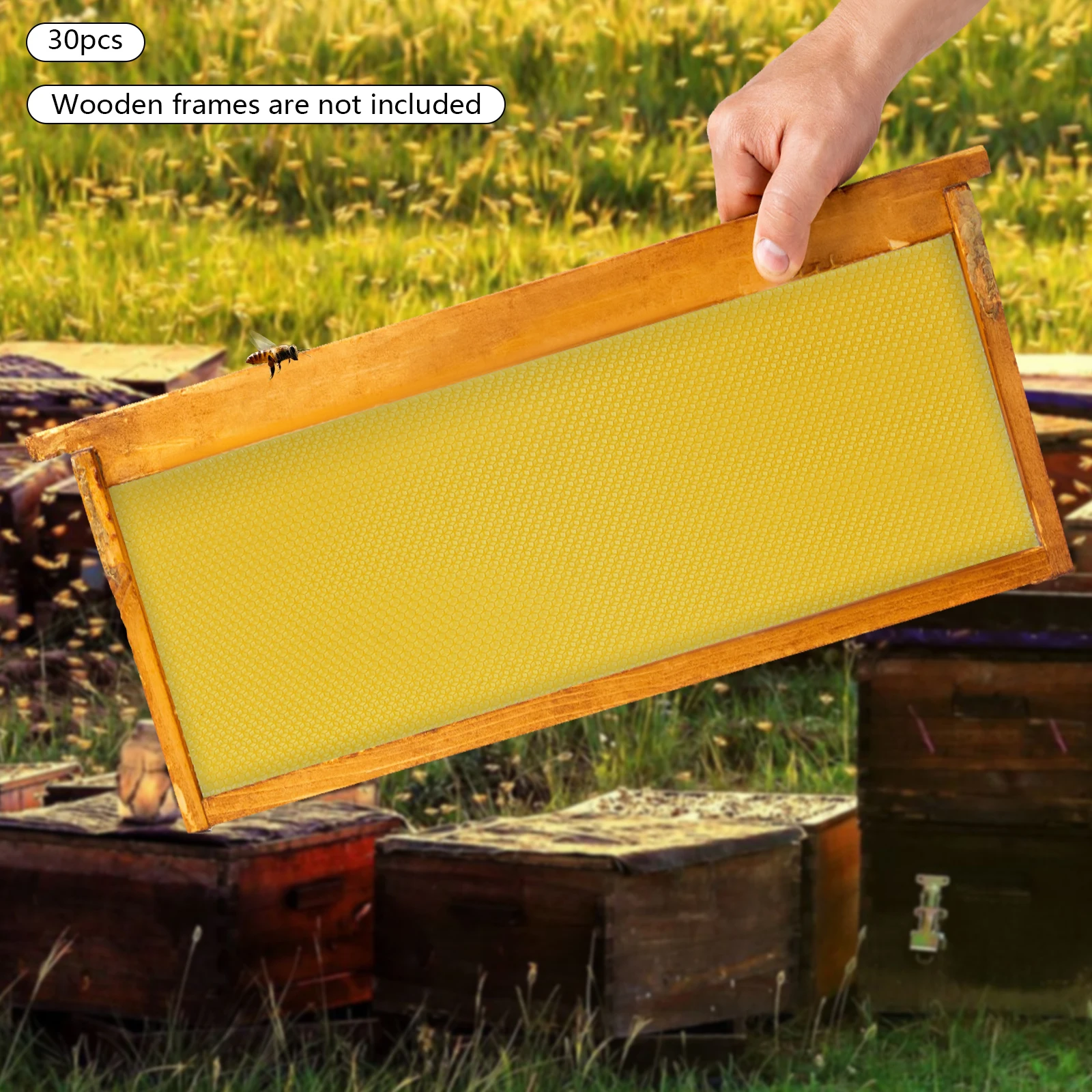 30 Pcs Bee Hive Foundations 19.5*41.5cm/ 7.68*16.34in Essential Tools for Beekeepers , Increase Honey Production
30 Pcs Bee Hive Foundations 19.5*41.5cm/ 7.68*16.34in Essential Tools for Beekeepers , Increase Honey Production