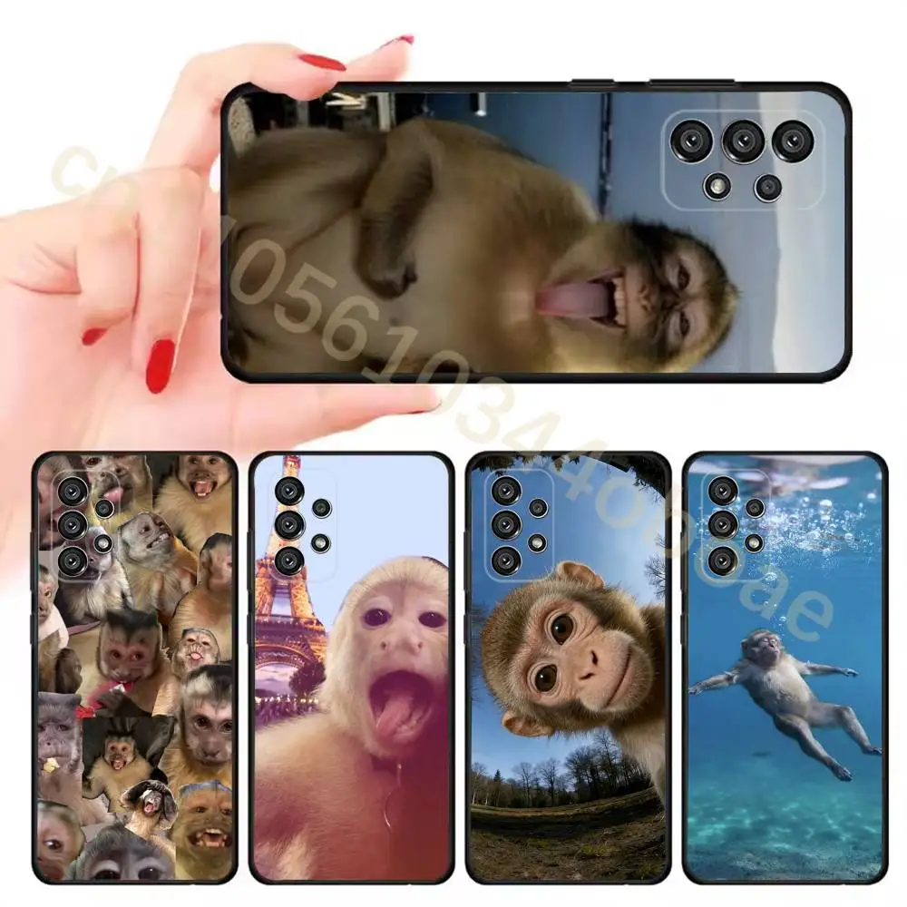 Funny Monkey MEME Phone Case For Samsung Galaxy A13,21s,22,31,32,52,53,71,80,A91 Soft Black Cover
Funny Monkey MEME Phone Case For Samsung Galaxy A13,21s,22,31,32,52,53,71,80,A91 Soft Black Cover