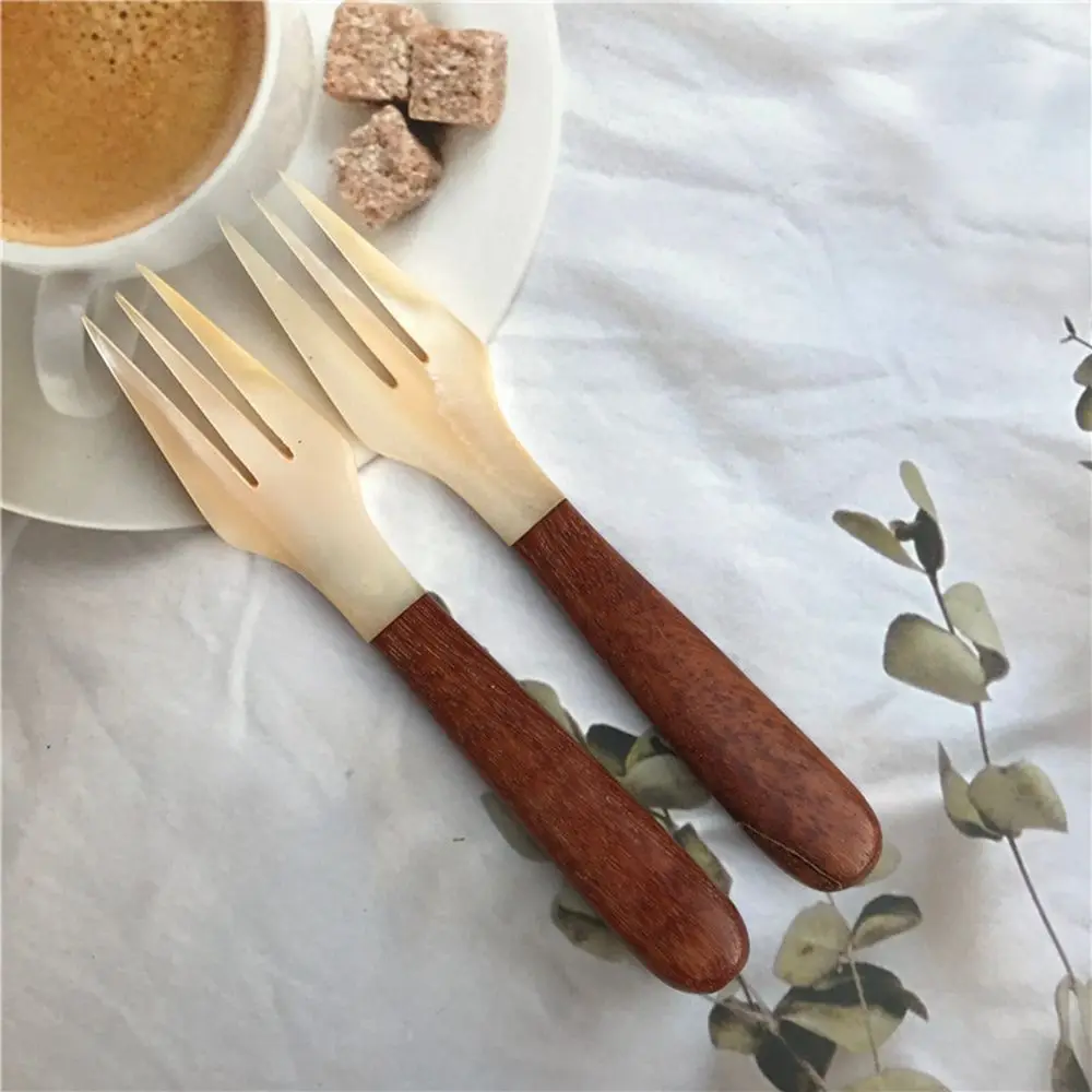 Seasoning Kitchen Tool Tableware Conch Caviar Natural Teaspoon Fork Shell Spoon Ice Cream Dessert Spoon
Seasoning Kitchen Tool Tableware Conch Caviar Natural Teaspoon Fork Shell Spoon Ice Cream Dessert Spoon