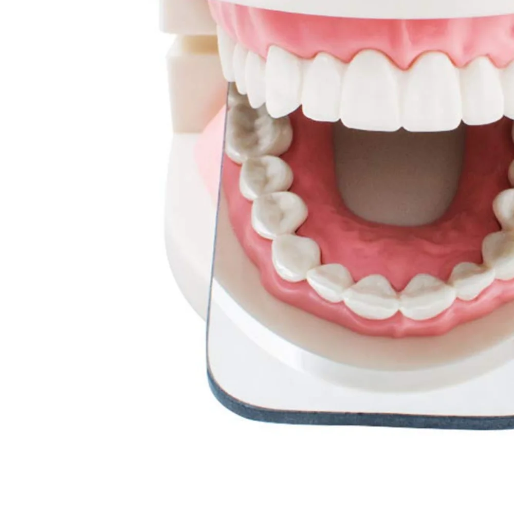 Dental Orthodontic Mirror Photography Tools Double-Sided Glass Material Dentistry Reflector Intra Oral
Dental Orthodontic Mirror Photography Tools Double-Sided Glass Material Dentistry Reflector Intra Oral